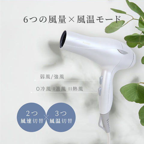 1000W大風量マイナスイオンヘアドライヤー(AW-1019)